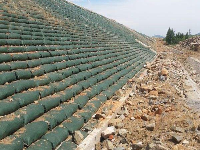 生态袋施工案例