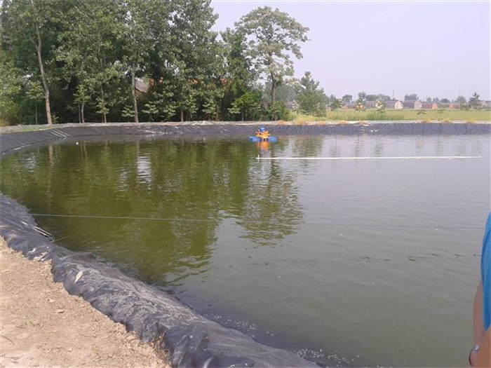 普及一下HDPE防渗膜有毒吗