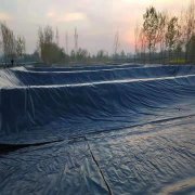 02mm糙面土工膜价格