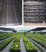 4000g膨润土防水毯