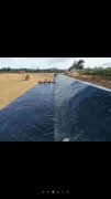 3mm污水池防渗膜价格