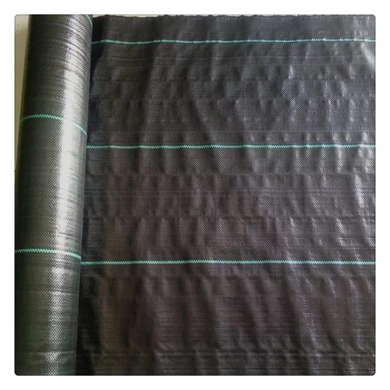 300g白色土工布供货商