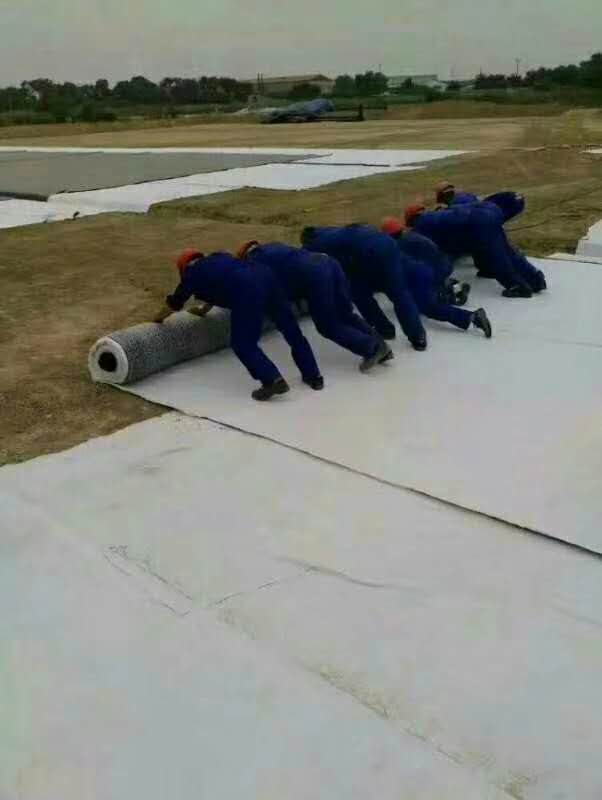 1mm污水池防渗膜价格