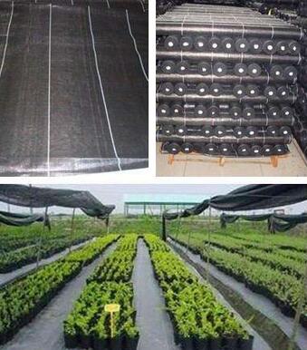 03mm土工膜防水生产