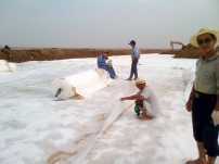 150克短纤土工布生产